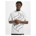 Rocawear / T-Shirt Woodhaven in white