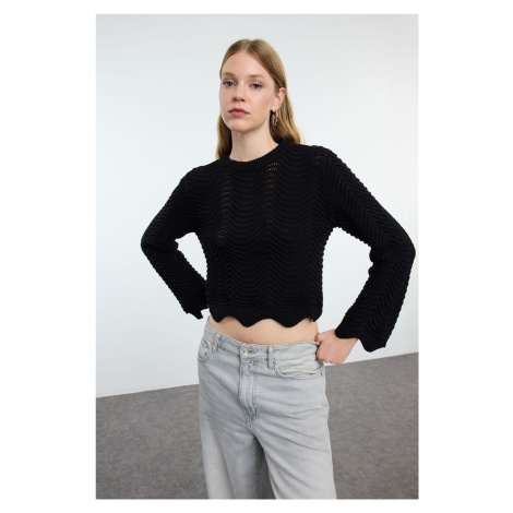 Trendyol Black Crop Openwork/Hole Detailed Crew Neck Knitwear Sweater