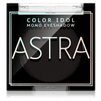 Astra Make-up Color Idol Mono Eyeshadow oční stíny odstín 10 R&B(lack) 2,2 g