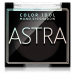 Astra Make-up Color Idol Mono Eyeshadow oční stíny odstín 10 R&B(lack) 2,2 g