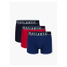 Boxer shorts Atlantic 3MH-174 A'3 S-2XL navy blue-red-blue 033