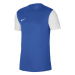 Pánské boty Dri-Fit Tiempo Premier 2 M DH8035-463 - Nike