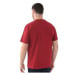 Tommy Jeans Gold Signature T-Shirt Regatta Red ruznobarevne