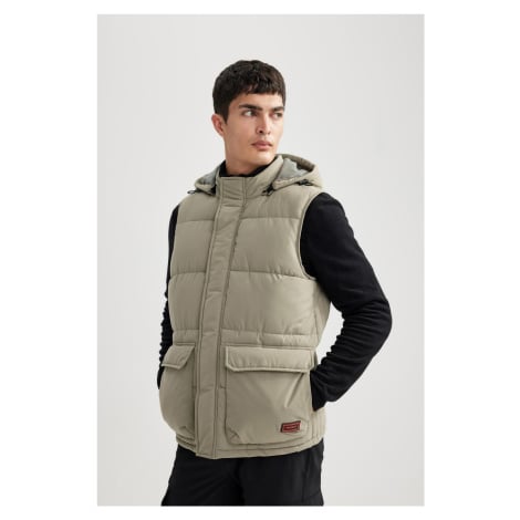 DEFACTO Water Repellent Regular Fit Detachable Hooded Zippered Pocket Puffer Vest