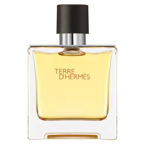 HERMÈS Terre d’Hermès parfém pro muže 75 ml Hermés