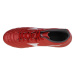 Pánská obuv Monarcida II Select Ag M P1GA222660 - Mizuno
