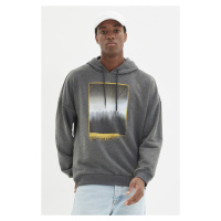 Trendyol Anthracite Regular/Real Fit Long Sleeve Hooded Printed Sweatshirt