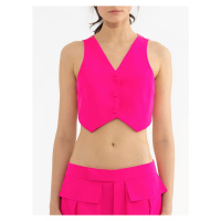 #VDR Fuchsia Vesta