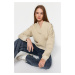 Trendyol Stone Thick Fleece Hooded Comfort-Cut Crop Knitted Sweatshirt