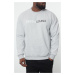 Trendyol Grey Oversize/Wide Cut Text Printed Plus Size Sweatshirt