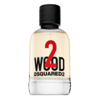 Dsquared2 2 Wood toaletní voda unisex 100 ml