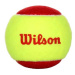 Wilson Starter red