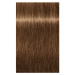 Schwarzkopf Professional IGORA Royal Absolutes barva na vlasy odstín 7-50 Medium Blonde Gold Nat