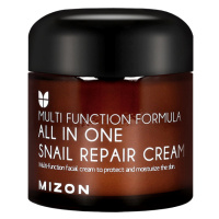 Mizon Repair Cream All In One pleťový krém 75 ml