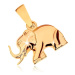 Přívěsek ze žlutého 9K zlata - lesklý kráčející slon