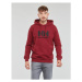 Helly Hansen W HH LOGO HOODIE Červená