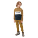 Chlapecká mikina 4F JUNIOR SWEATSHIRT-JAW23TSWSM630-74S-GOLD