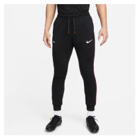 Pánské tréninkové kalhoty Dri-Fit Libero M DH9666 010 - Nike
