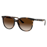 Ray-Ban RB4378 710/13