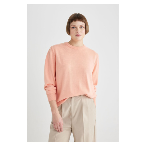 DEFACTO Regular Fit Crew Neck Basic Sweater