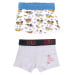 Yoclub Kids's Cotton Boys' Boxer Briefs Underwear 2-pack BMB-0008C-AA30-001