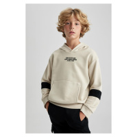 DEFACTO Boy's Oversize Fit Hooded Sweatshirt