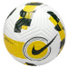 NIKE BRAZIL FLIGHT BALL DH7421-100