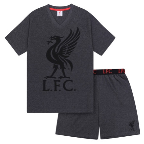 FC Liverpool pánské pyžamo SLab grey