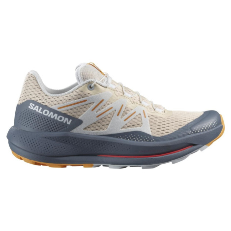 Salomon Pulsar Trail W 40 2/3 EUR