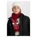 DEFACTO Boy's Marvel Spiderman Knitwear Scarf