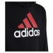Dětská mikina Big Logo 2 Hoody Jr HR6370 - Adidas