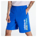 adidas Originals Stoked Shorts Blue