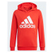 Dětská mikina Essentials Big Logo Hoodie Jr GN4037 - Adidas