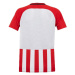 Dětské fotbalové tričko Striped Division Jr 894102-658 - Nike