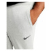 Nike PANTALN GRIS HOMBRE DRI-FIT CZ6379 Šedá