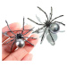 Camerazar Elegantní Stříbrná Brož ve tvaru Pavouka s Perlou, Bižuterní Slitina, 5x4.5 cm