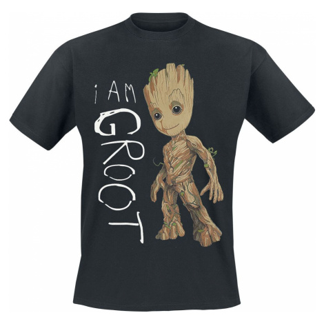 Strážci galaxie I Am Groot Tričko černá