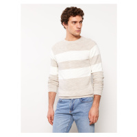 LC Waikiki Crew Neck Long Sleeve Color Block Men's Knitwear Sweater