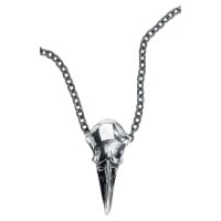 Alchemy Gothic Rabenschädel Klein Náhrdelník - řetízek standard