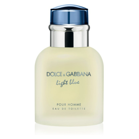 Dolce&Gabbana Light Blue Pour Homme toaletní voda pro muže 40 ml Dolce & Gabbana