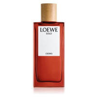 Loewe Solo Cedro toaletní voda pro muže 100 ml