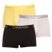 3PACK pánské boxerky Calvin Klein vícebarevné (NB2970A-1RN)