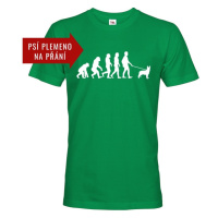 Pánské tričko s potiskem Evoluce venčení psa - tričko pro pejskaře