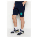 Trendyol Shorts - Dark blue - Normal Waist