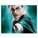 Camerazar Náhrdelník s křídly Zlatého Dráteníka Harryho Pottera, replika z filmu, délka řetízku 