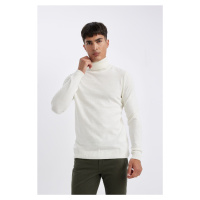 DEFACTO Slim Fit Turtleneck Sweater