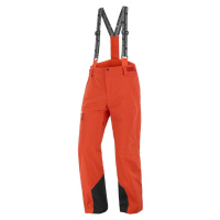 Lyžařské kalhoty Salomon Brilliant Ski Pants