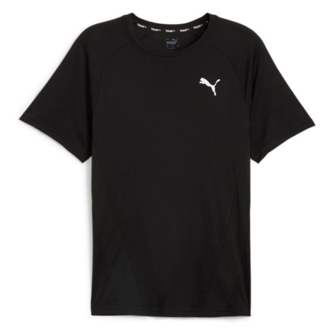 PUMA - PÁNSKÉ SPORTOVNÍ TRIČKO TRAIN ALL DAY TEE