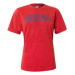 Tričko Puma Arsenal Fan Tee Červená