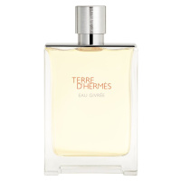 HERMÈS Terre d’Hermès Eau Givrée parfémovaná voda pro muže 175 ml